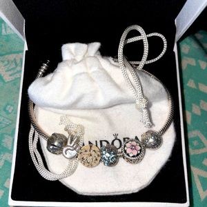 Pandora bracelet